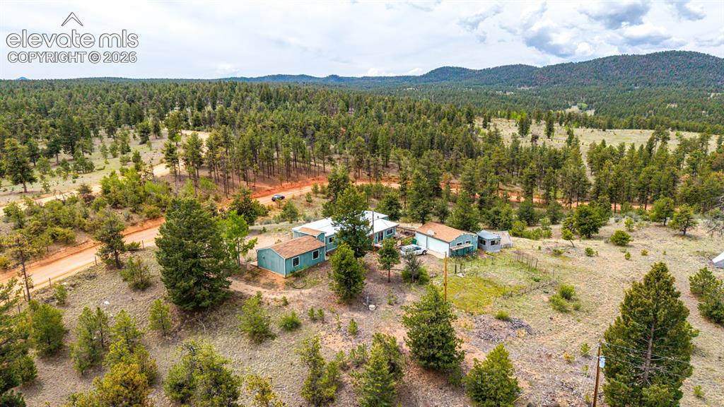 357 County Road 46 Florissant CO 80816