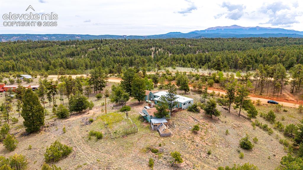 357 County Road 46 Florissant CO 80816