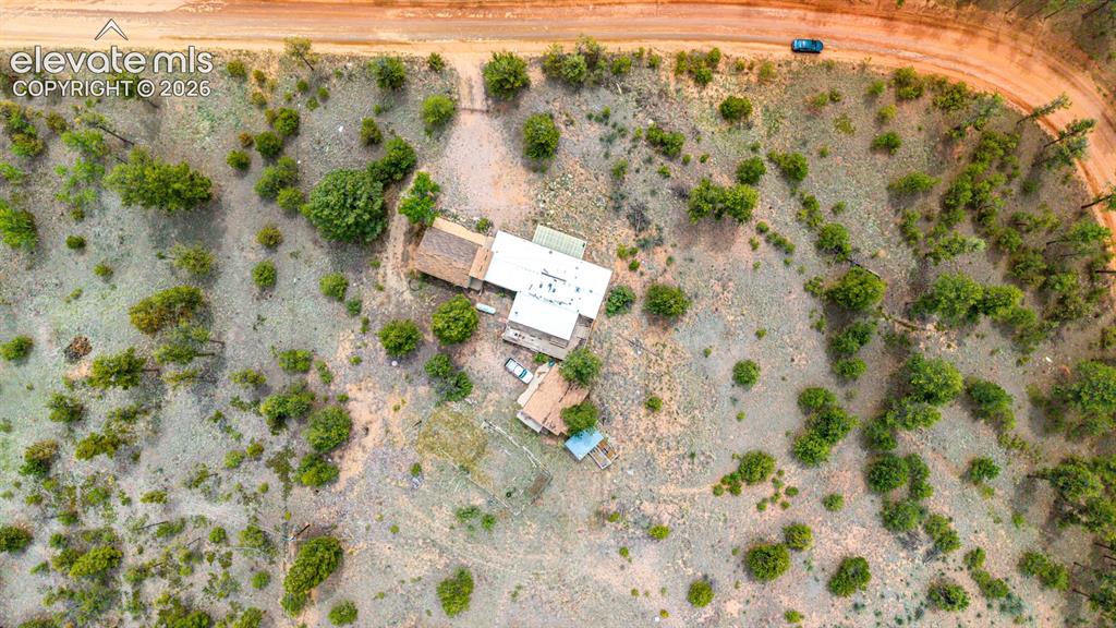 357 County Road 46 Florissant CO 80816