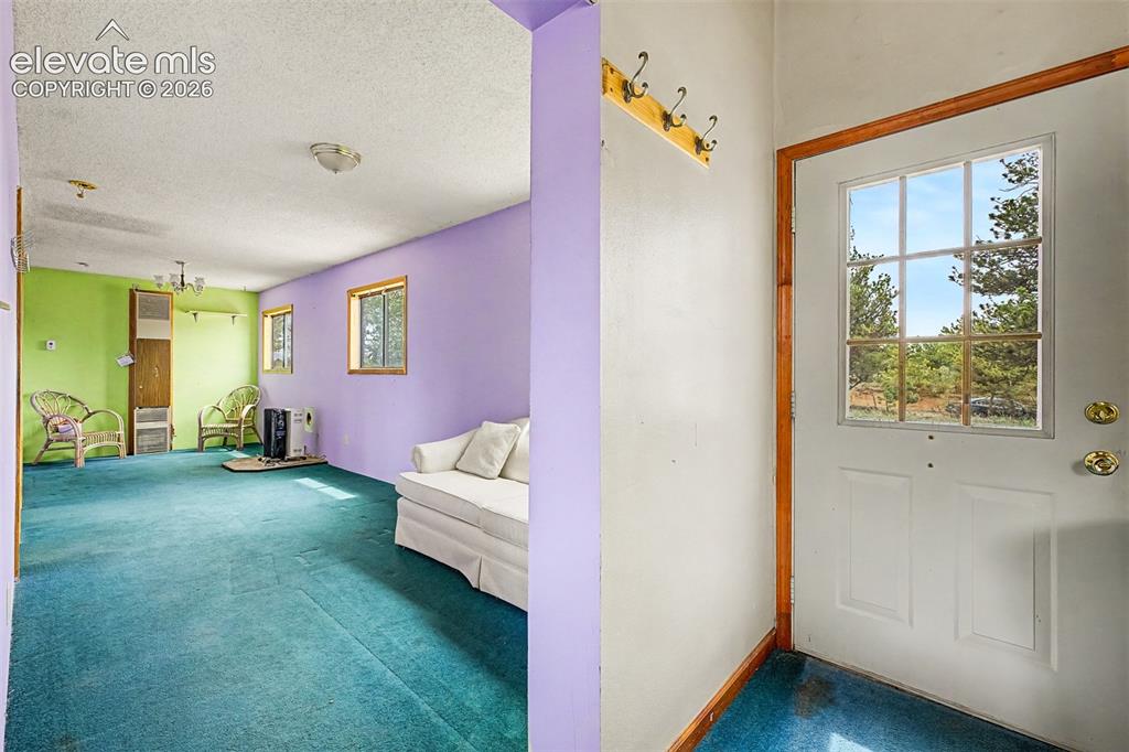 357 County Road 46 Florissant CO 80816