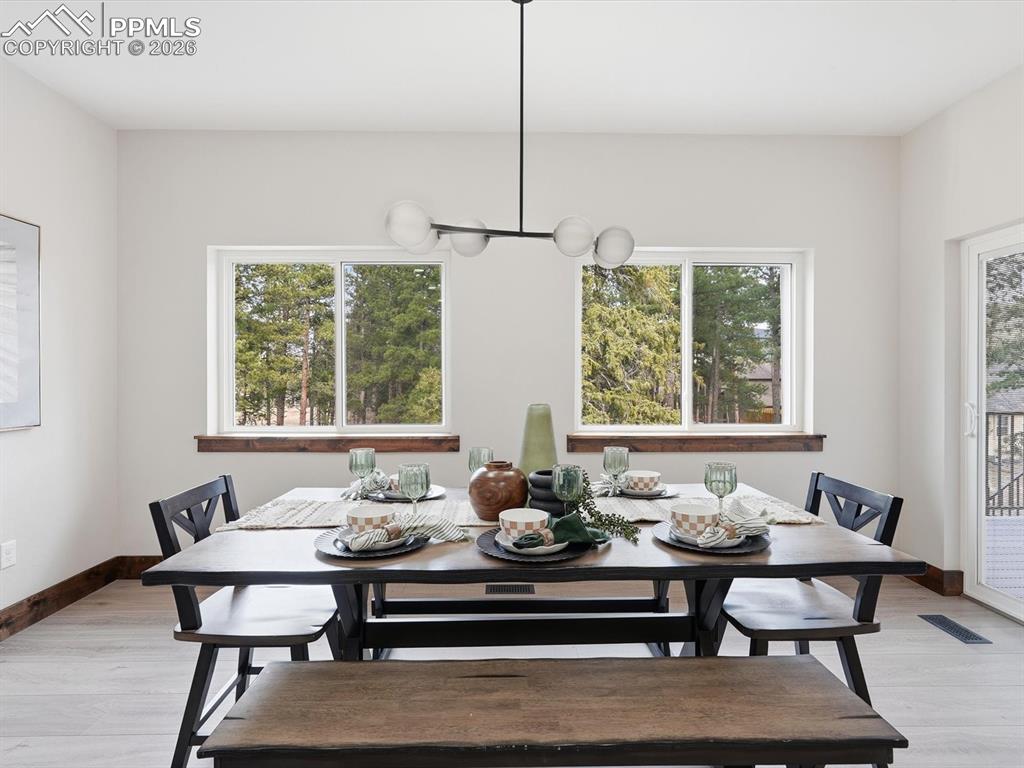 1308 Stone Ridge Drive Woodland Park CO 80863