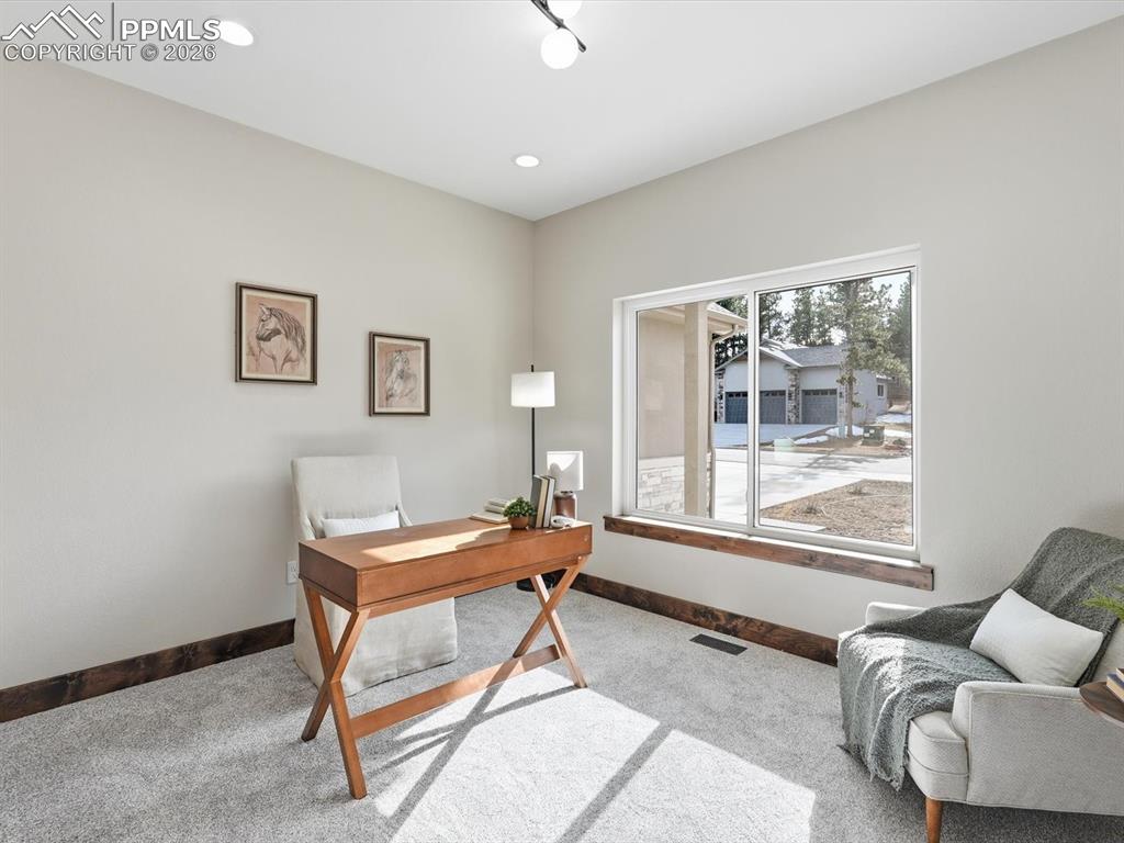 1308 Stone Ridge Drive Woodland Park CO 80863