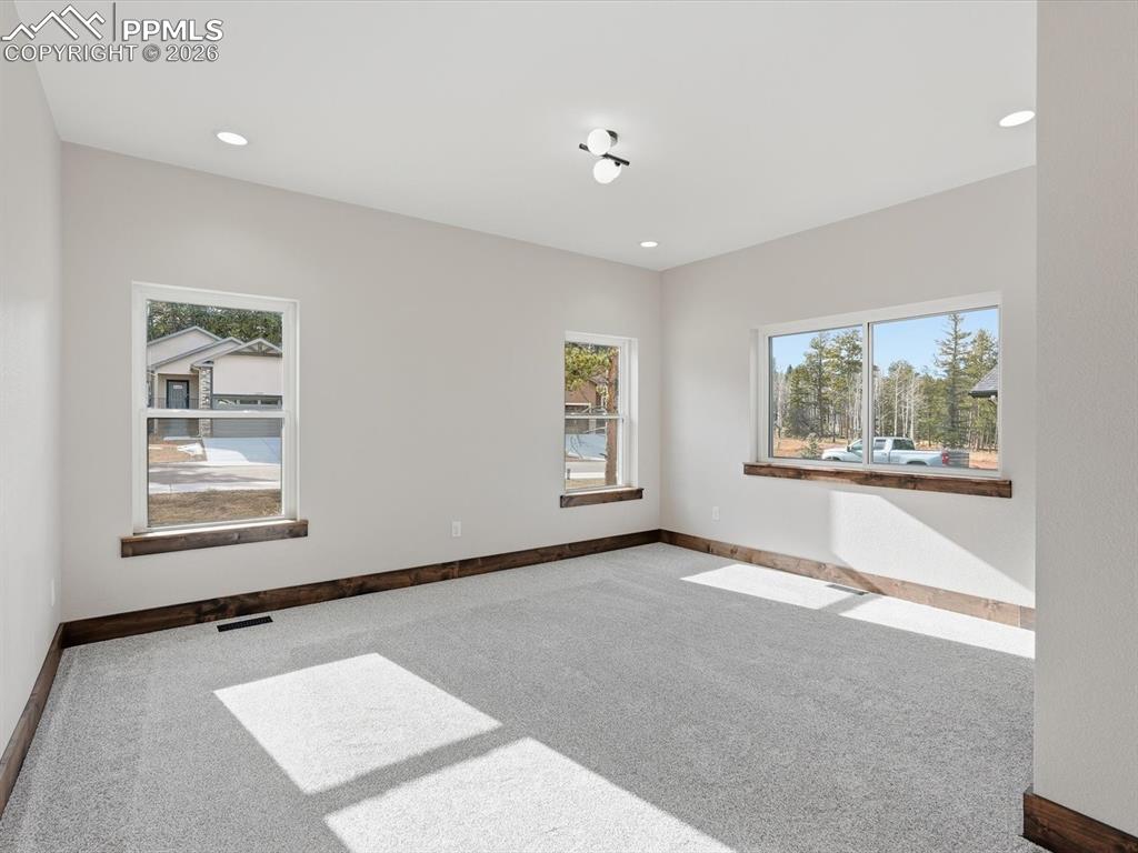 1308 Stone Ridge Drive Woodland Park CO 80863