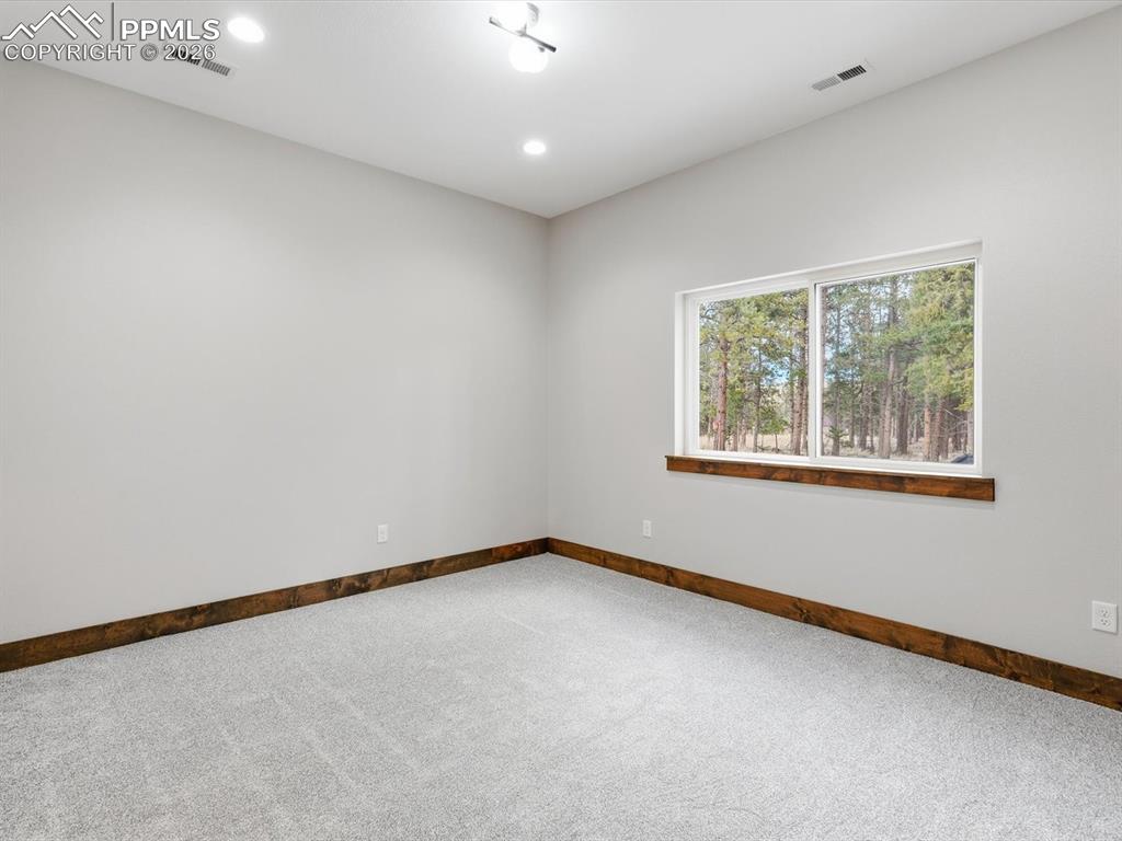 1308 Stone Ridge Drive Woodland Park CO 80863