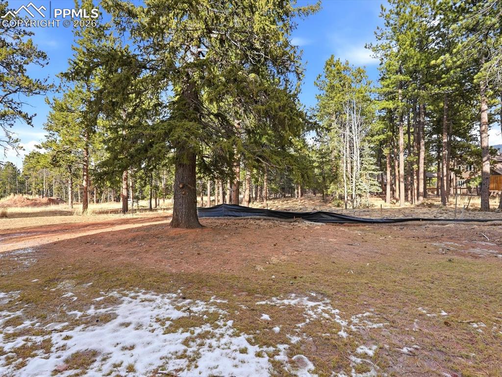 1308 Stone Ridge Drive Woodland Park CO 80863