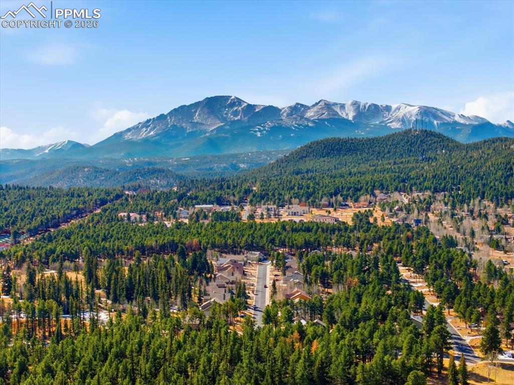 1308 Stone Ridge Drive Woodland Park CO 80863