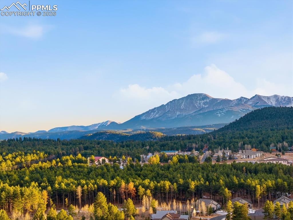1308 Stone Ridge Drive Woodland Park CO 80863