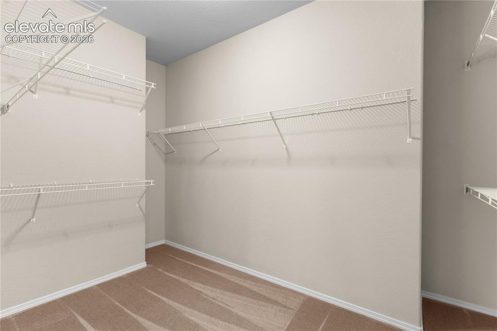 6069 Rowdy Drive Colorado Springs CO 80924