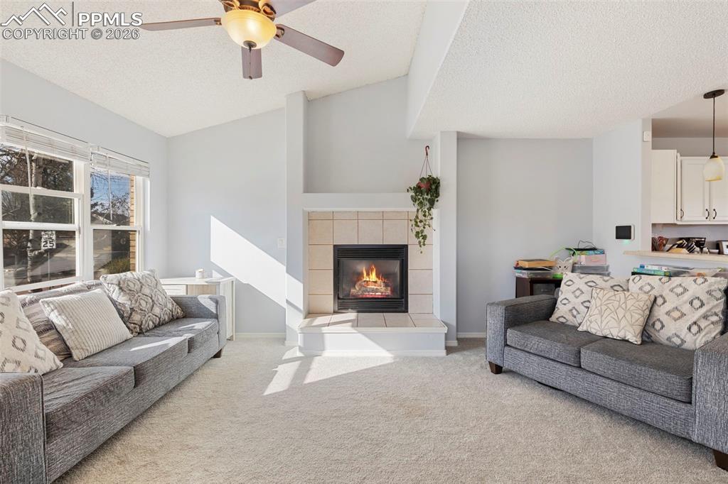 5390 Balsam Street Colorado Springs CO 80923