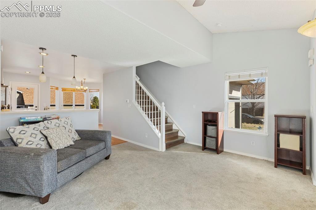 5390 Balsam Street Colorado Springs CO 80923