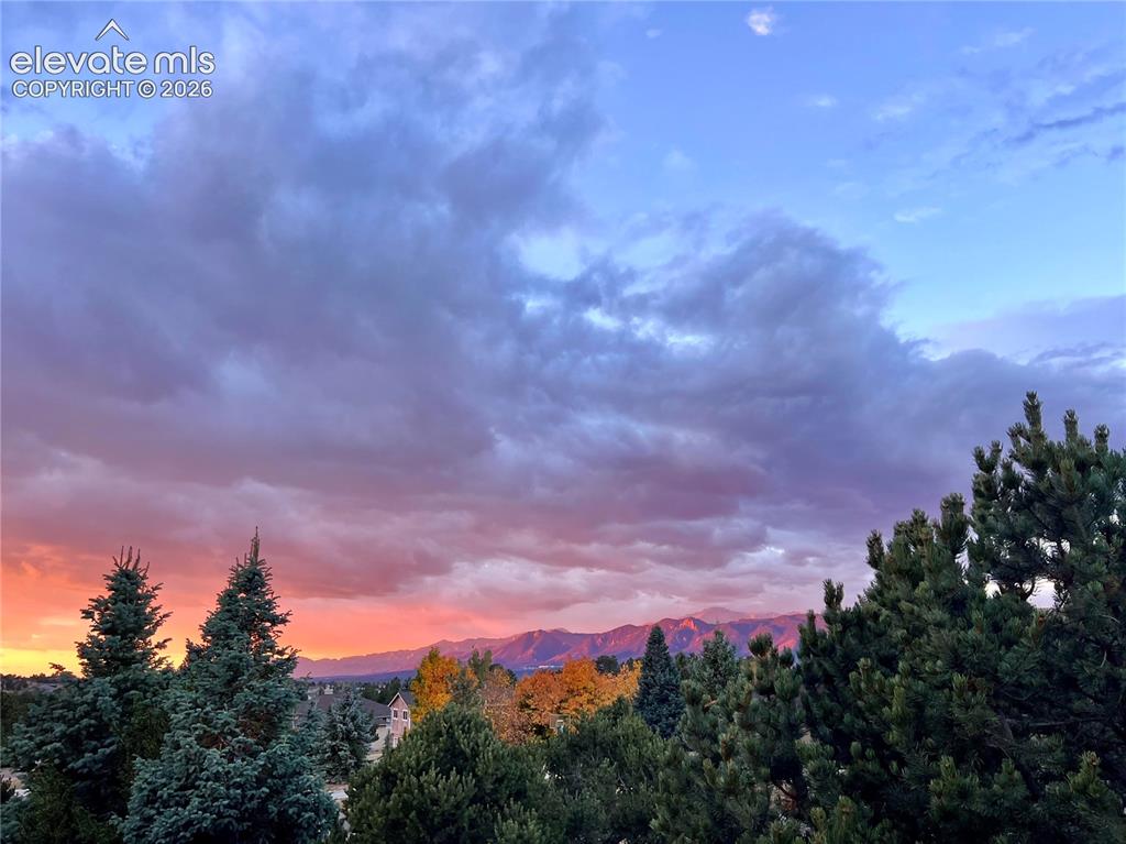 830 Lake Woodmoor Drive Monument CO 80132