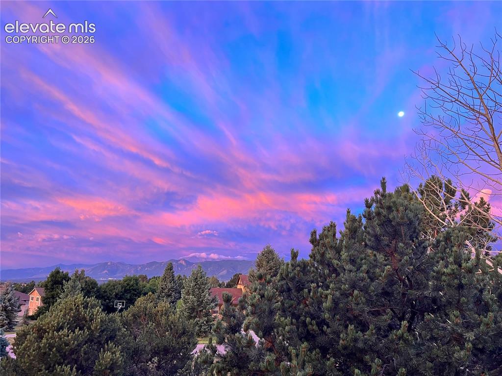 830 Lake Woodmoor Drive Monument CO 80132