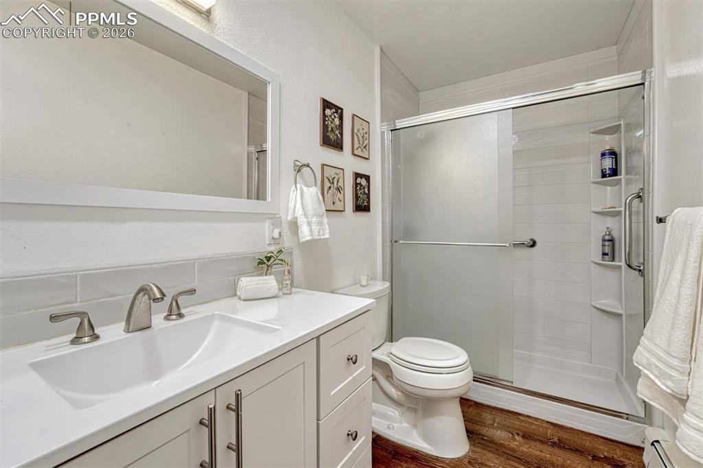 245 Lower Glenway Street Palmer Lake CO 80133