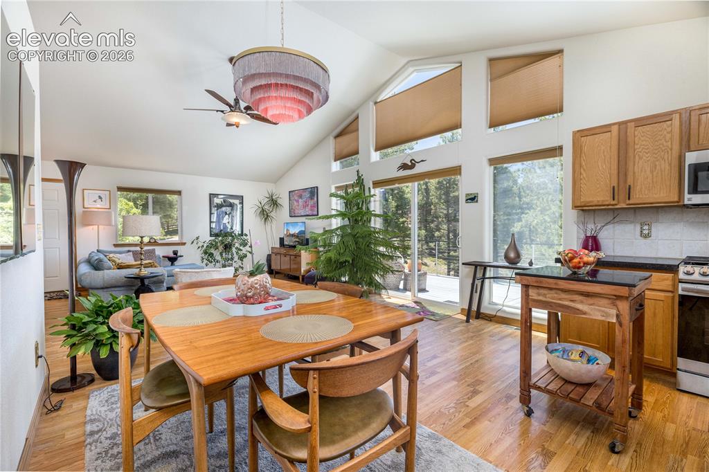 161 Wahsatch Road Florissant CO 80816