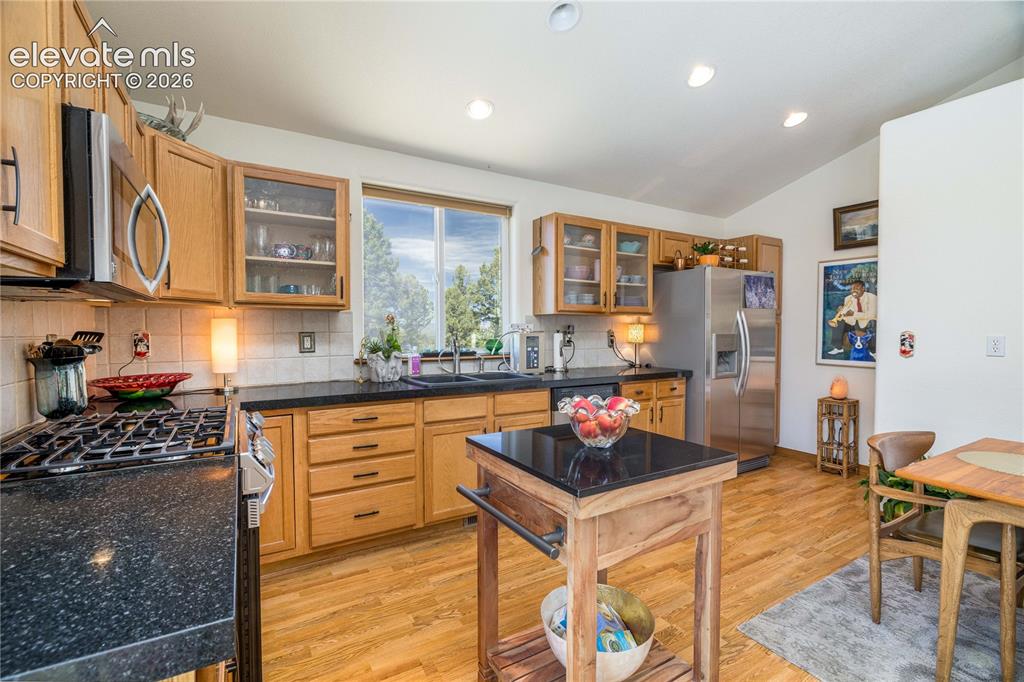 161 Wahsatch Road Florissant CO 80816