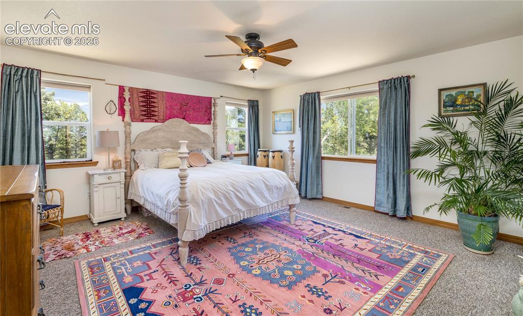 161 Wahsatch Road Florissant CO 80816