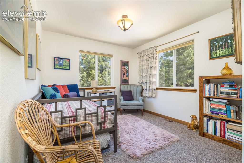 161 Wahsatch Road Florissant CO 80816