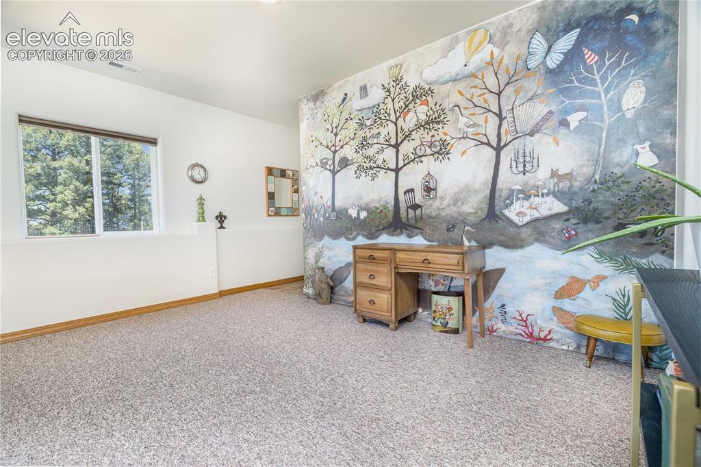 161 Wahsatch Road Florissant CO 80816