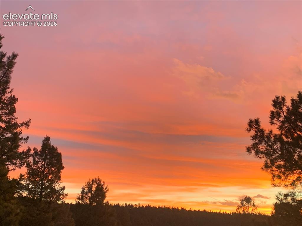 161 Wahsatch Road Florissant CO 80816