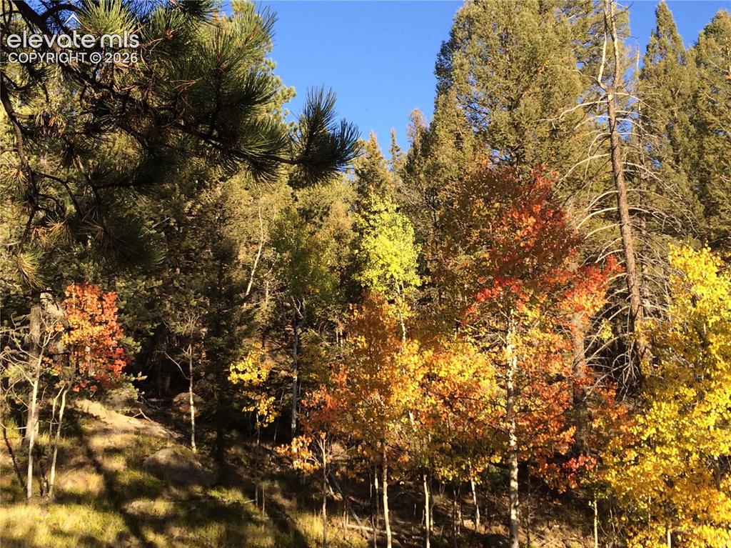 161 Wahsatch Road Florissant CO 80816