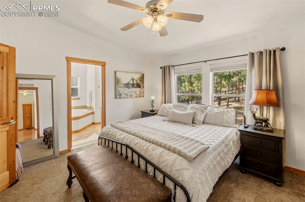 738 Rangeview Road Divide CO 80814