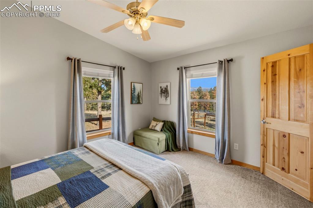 738 Rangeview Road Divide CO 80814