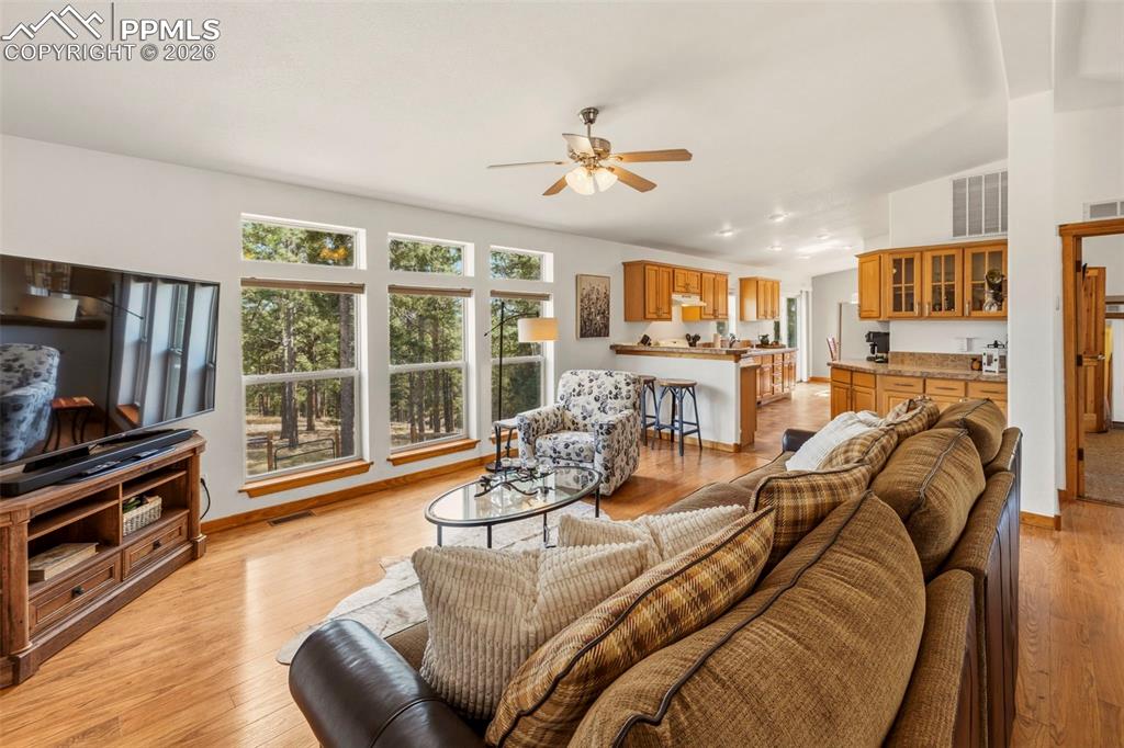 738 Rangeview Road Divide CO 80814