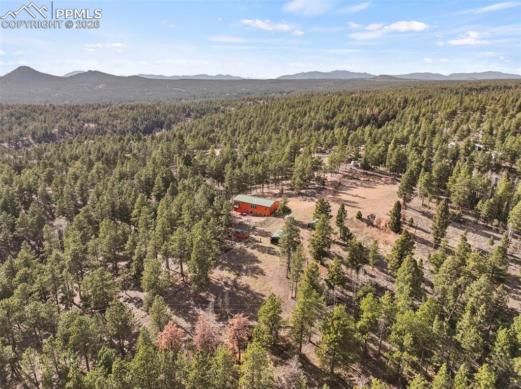 738 Rangeview Road Divide CO 80814