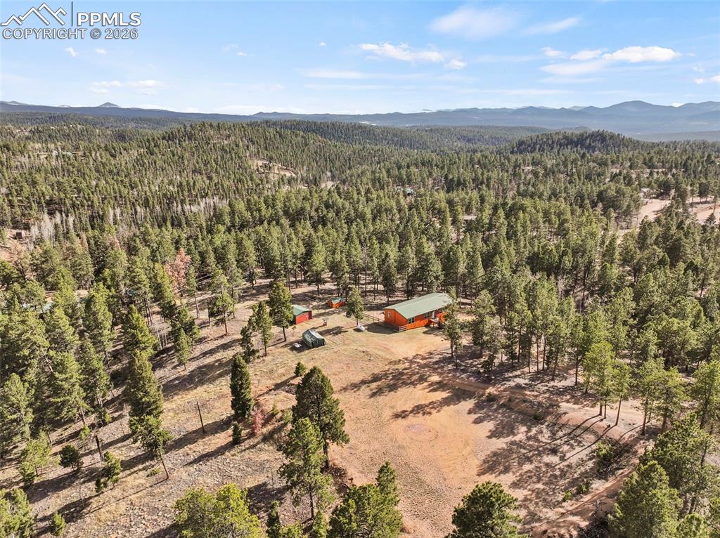 738 Rangeview Road Divide CO 80814