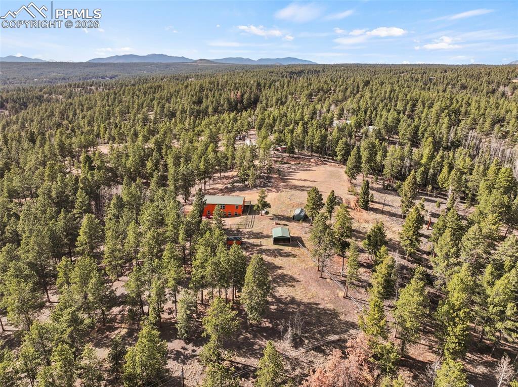 738 Rangeview Road Divide CO 80814