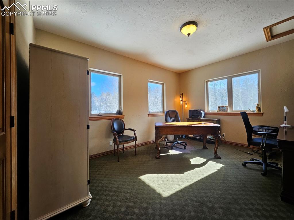 1471 County Road 51 Divide CO 80814