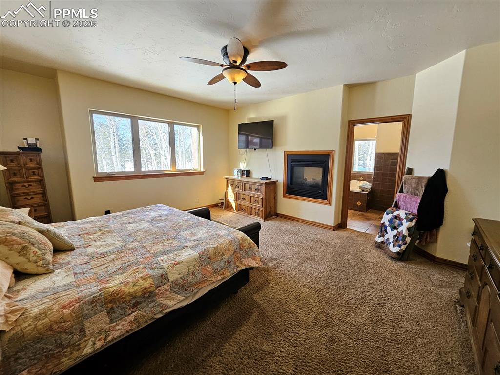 1471 County Road 51 Divide CO 80814