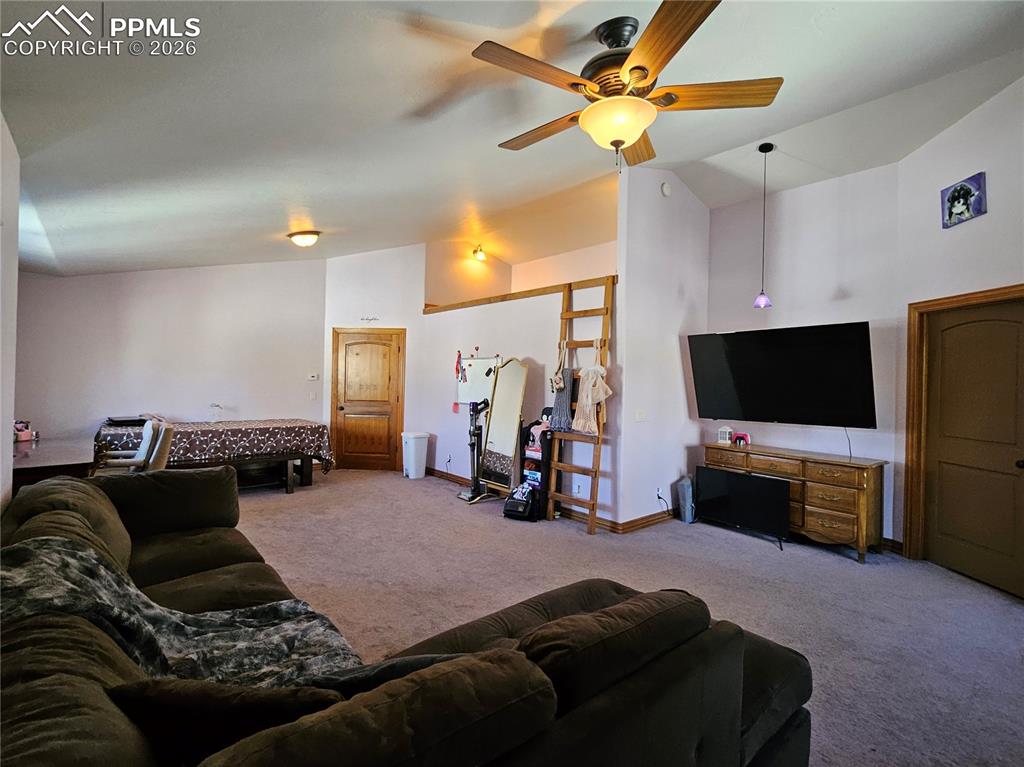 1471 County Road 51 Divide CO 80814