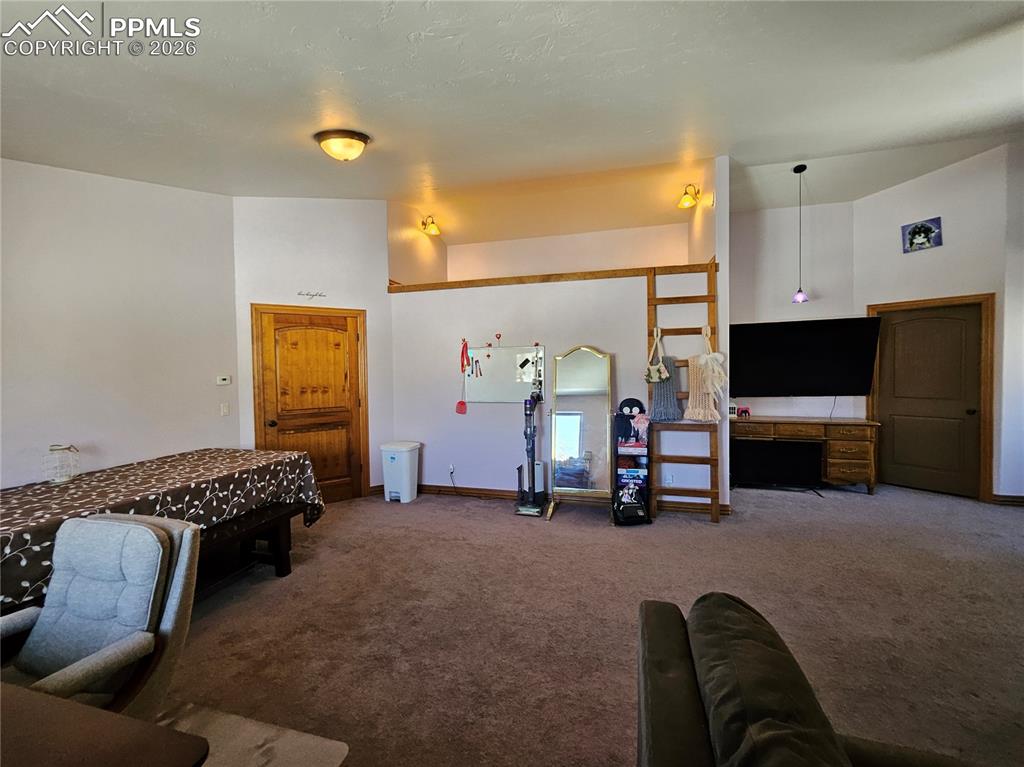 1471 County Road 51 Divide CO 80814