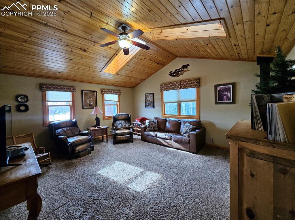 1471 County Road 51 Divide CO 80814