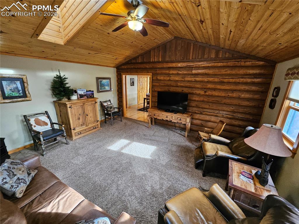 1471 County Road 51 Divide CO 80814