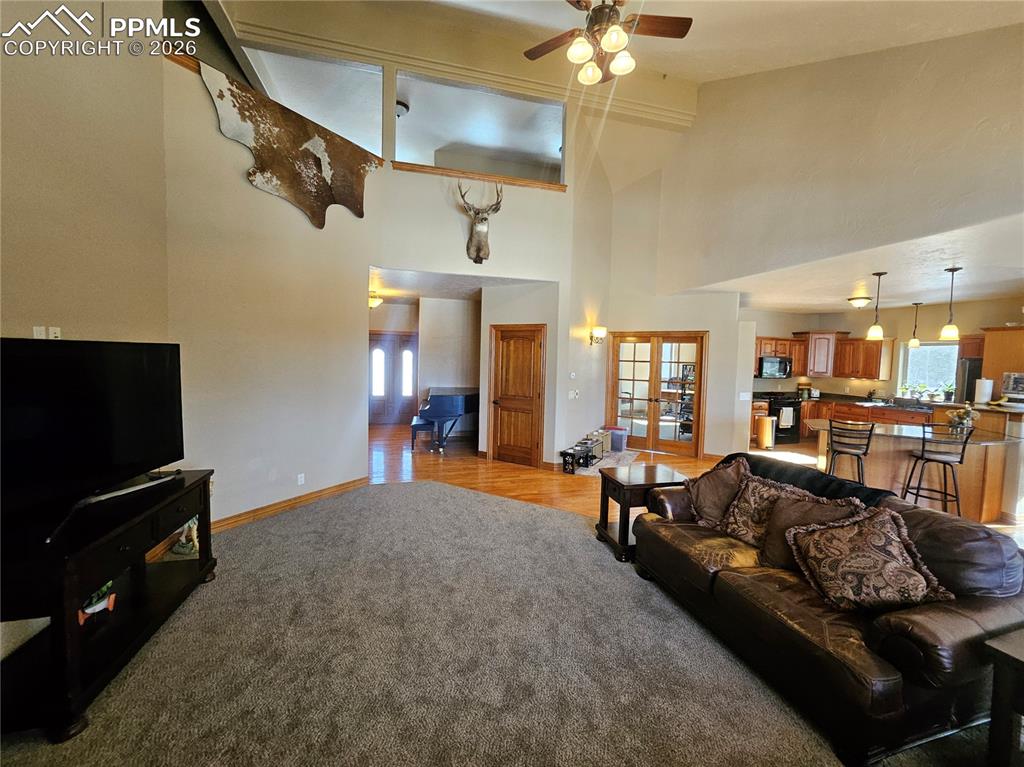 1471 County Road 51 Divide CO 80814