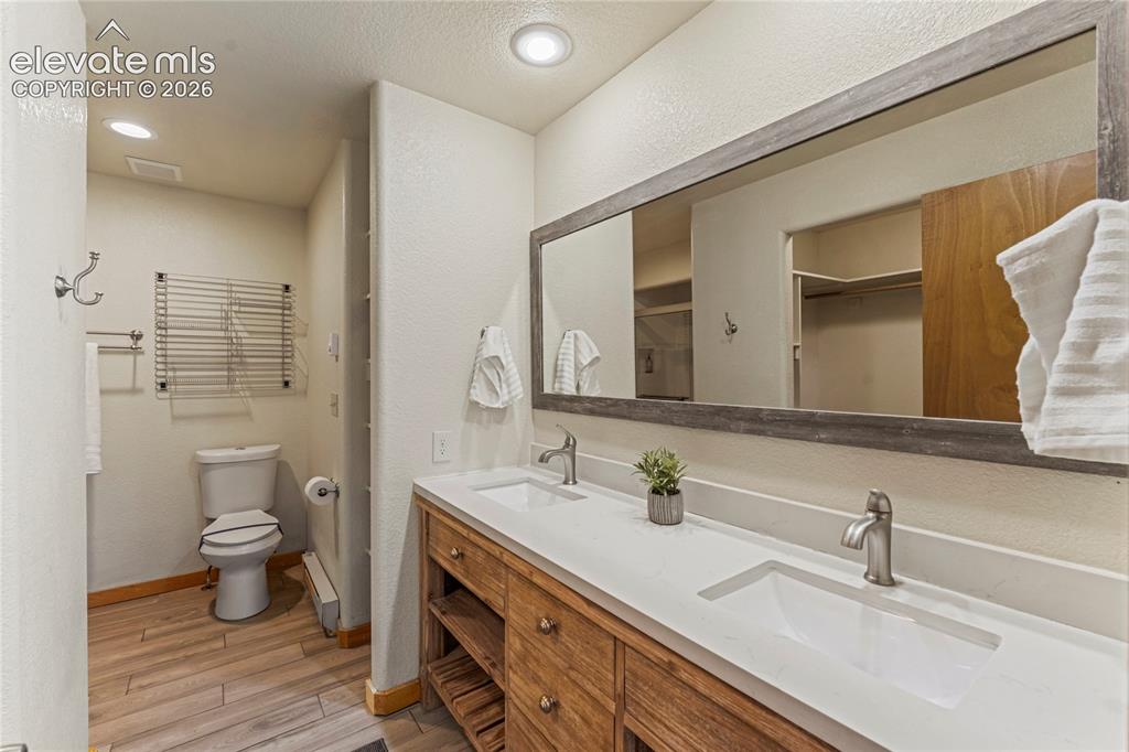 3543 Blue Mesa Drive Divide CO 80814