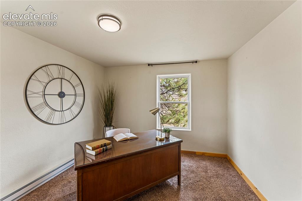 3543 Blue Mesa Drive Divide CO 80814