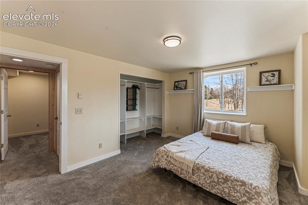 3543 Blue Mesa Drive Divide CO 80814
