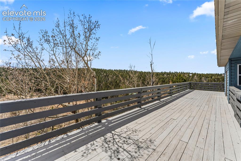 3543 Blue Mesa Drive Divide CO 80814
