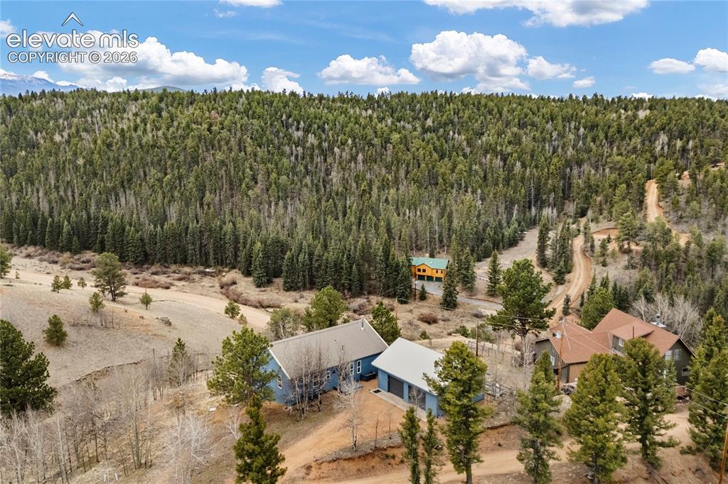 3543 Blue Mesa Drive Divide CO 80814