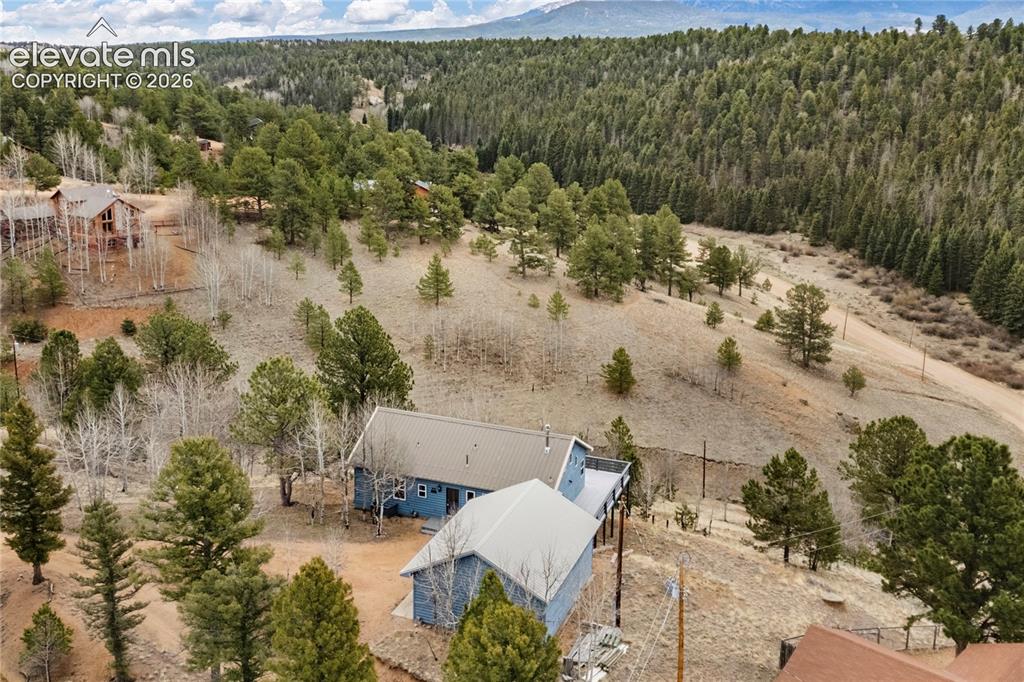 3543 Blue Mesa Drive Divide CO 80814