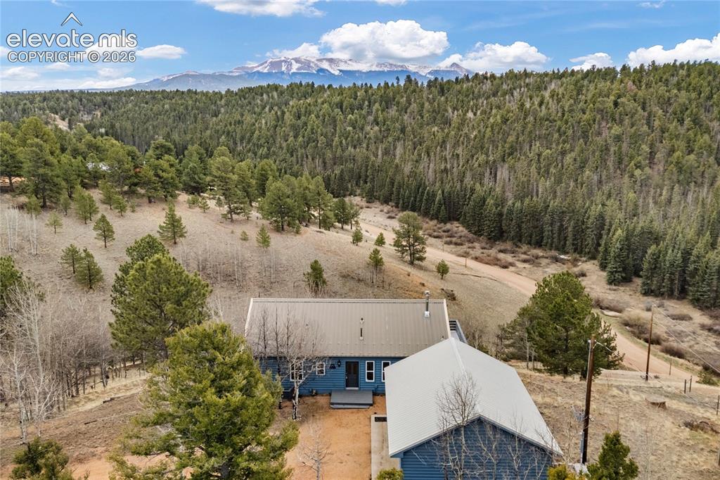 3543 Blue Mesa Drive Divide CO 80814