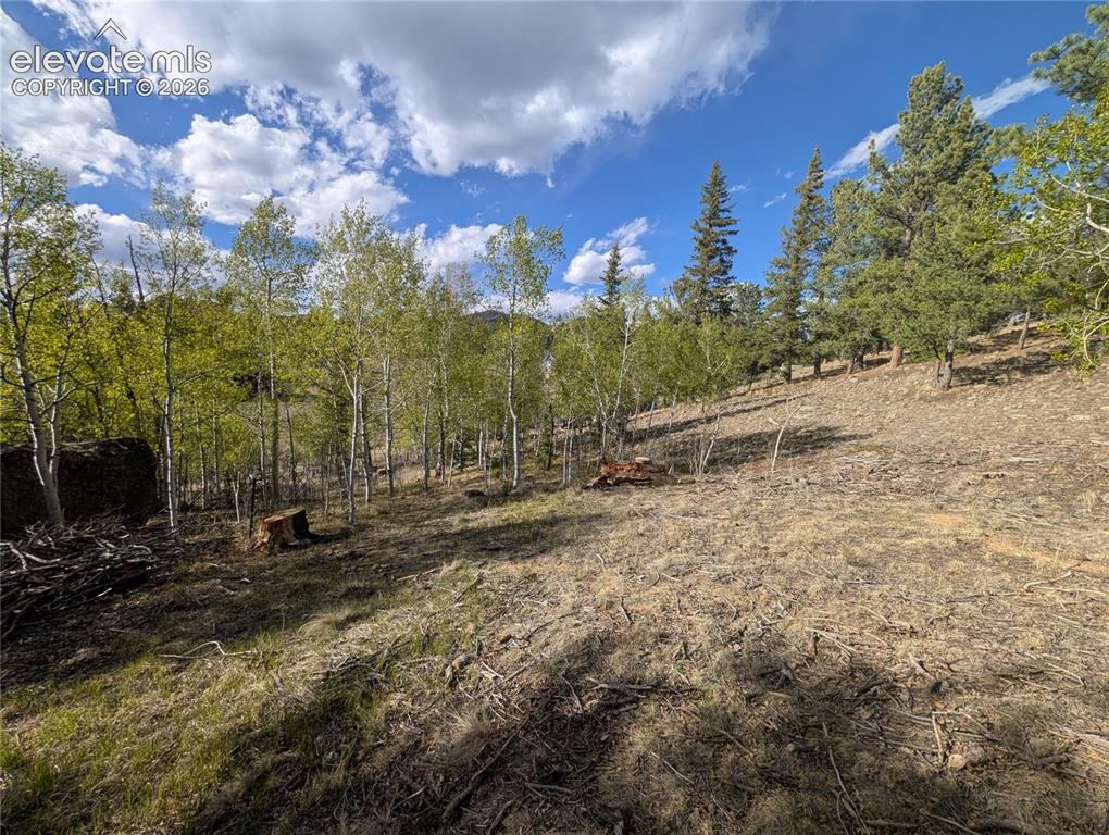 163 Cutthroat Drive Lake George CO 80827