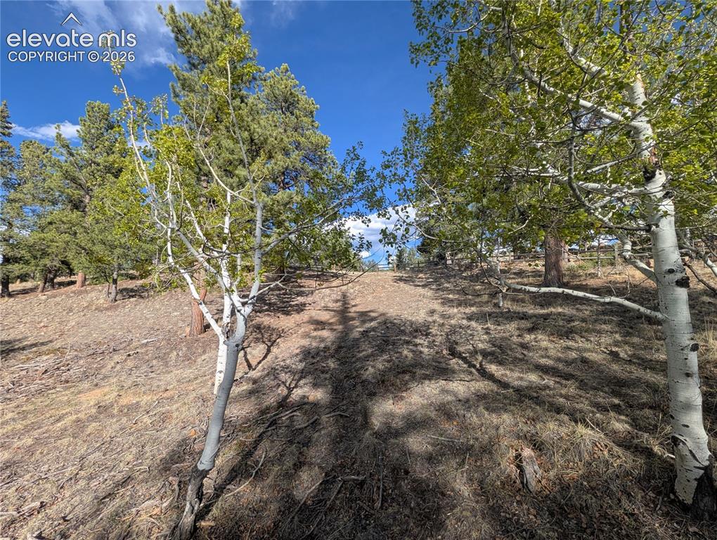 163 Cutthroat Drive Lake George CO 80827