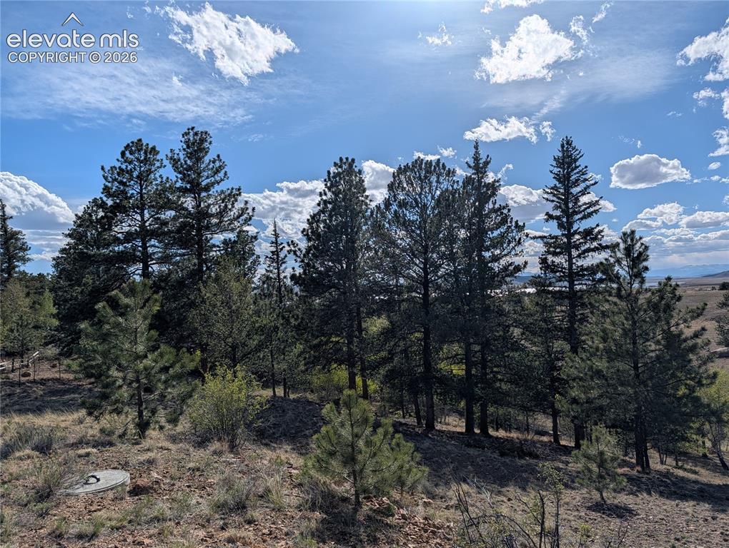 163 Cutthroat Drive Lake George CO 80827