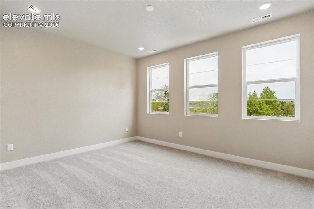 3077 Curly Grove Colorado Springs CO 80922