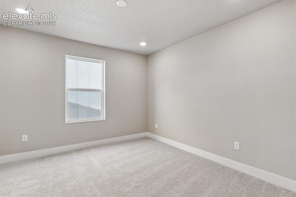 3077 Curly Grove Colorado Springs CO 80922