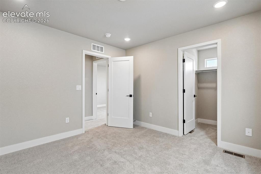 3077 Curly Grove Colorado Springs CO 80922